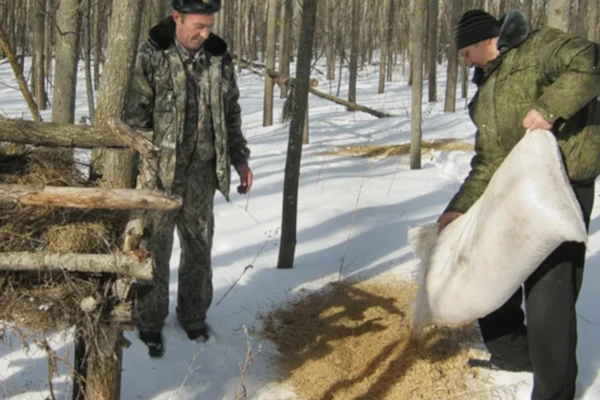 олень нижний новгород