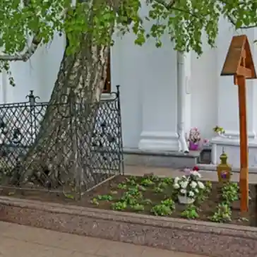 могила Мотовилова